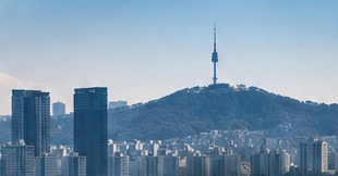 서울의 도심과 남산이 어우러진 풍경